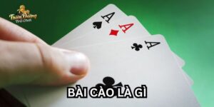 Bài cào tdtc