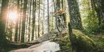 Mountain biker riding through a Forestry England woodland trail